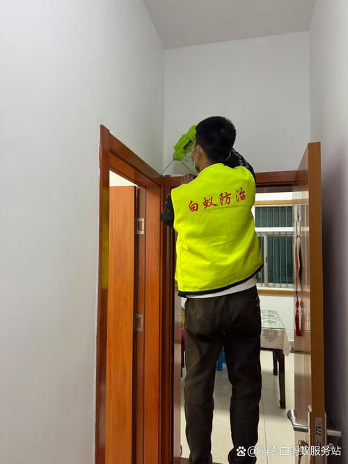 溧阳白蚁防治全指南 专业服务与咨询电话详解