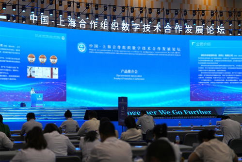 以 上合 为媒 共绘合作发展新图景 技术服务的驱动与未来